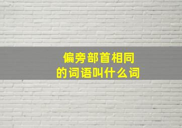 偏旁部首相同的词语叫什么词