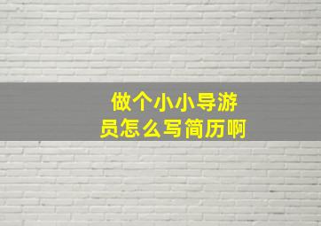 做个小小导游员怎么写简历啊