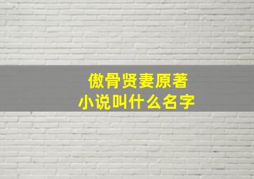 傲骨贤妻原著小说叫什么名字