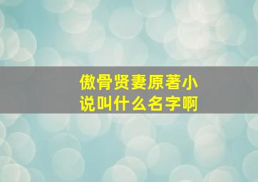 傲骨贤妻原著小说叫什么名字啊