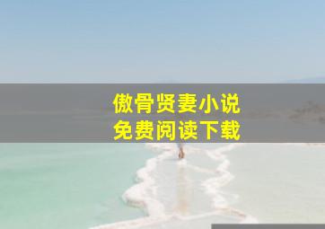 傲骨贤妻小说免费阅读下载