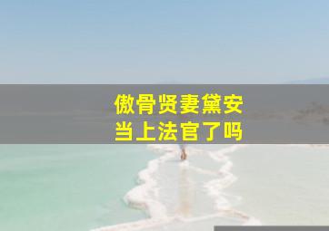 傲骨贤妻黛安当上法官了吗