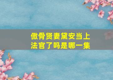 傲骨贤妻黛安当上法官了吗是哪一集