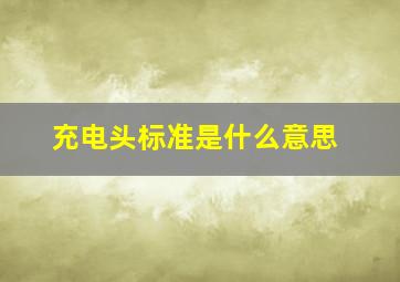 充电头标准是什么意思