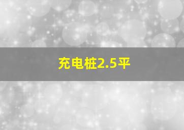 充电桩2.5平