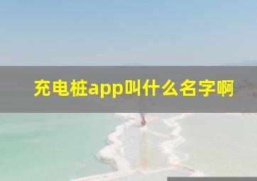 充电桩app叫什么名字啊