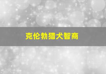 克伦勃猎犬智商