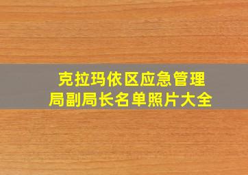 克拉玛依区应急管理局副局长名单照片大全