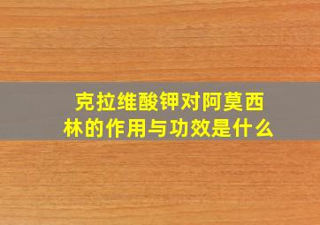 克拉维酸钾对阿莫西林的作用与功效是什么