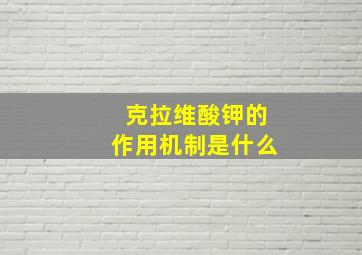 克拉维酸钾的作用机制是什么