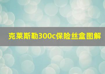 克莱斯勒300c保险丝盒图解