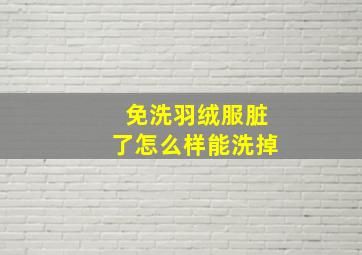 免洗羽绒服脏了怎么样能洗掉