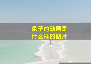 兔子的动画是什么样的图片