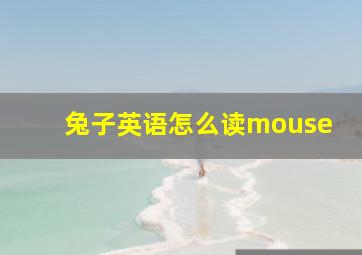 兔子英语怎么读mouse