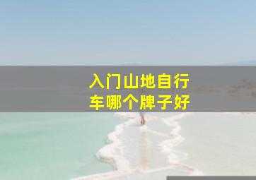 入门山地自行车哪个牌子好