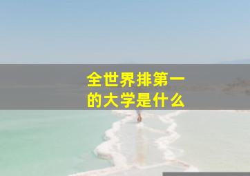 全世界排第一的大学是什么