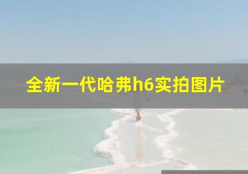 全新一代哈弗h6实拍图片