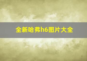 全新哈弗h6图片大全