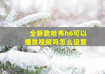 全新款哈弗h6可以播放视频吗怎么设置