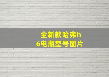 全新款哈弗h6电瓶型号图片