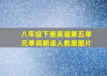 八年级下册英语第五单元单词朗读人教版图片