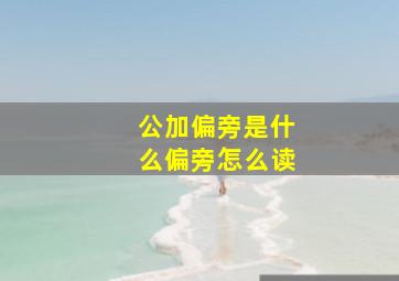 公加偏旁是什么偏旁怎么读