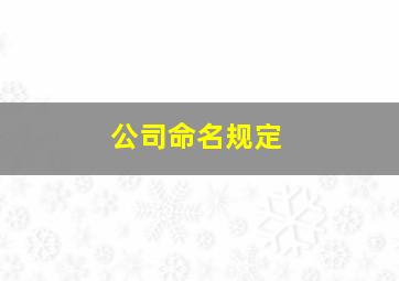 公司命名规定