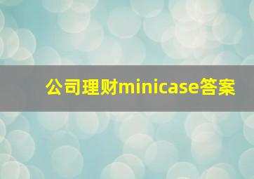 公司理财minicase答案