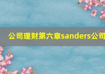 公司理财第六章sanders公司