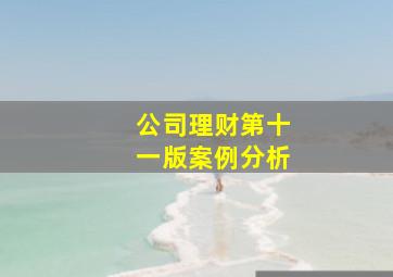 公司理财第十一版案例分析