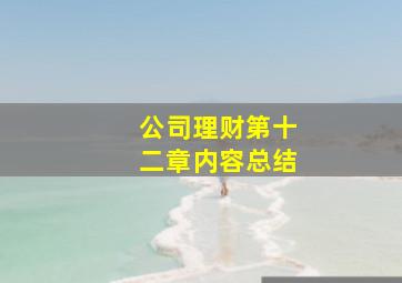 公司理财第十二章内容总结