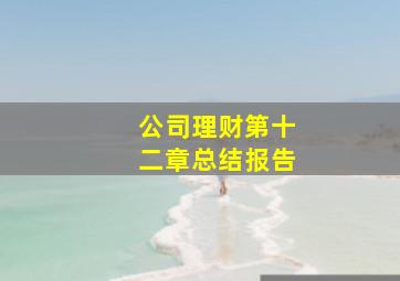 公司理财第十二章总结报告