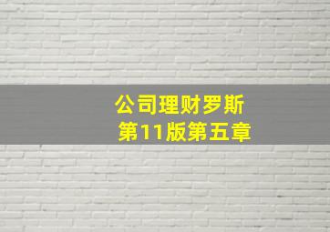 公司理财罗斯第11版第五章