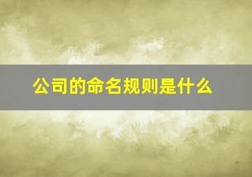 公司的命名规则是什么