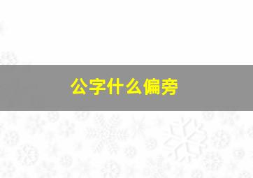 公字什么偏旁