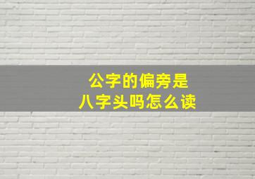 公字的偏旁是八字头吗怎么读