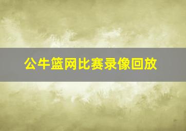 公牛篮网比赛录像回放