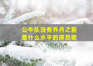 公牛队没有乔丹之前是什么水平的球员呢