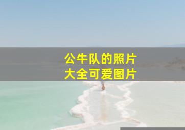 公牛队的照片大全可爱图片