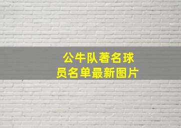 公牛队著名球员名单最新图片