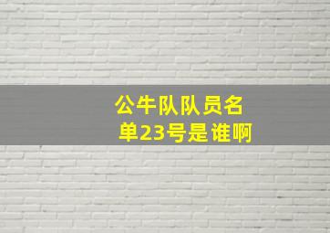 公牛队队员名单23号是谁啊