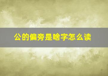 公的偏旁是啥字怎么读