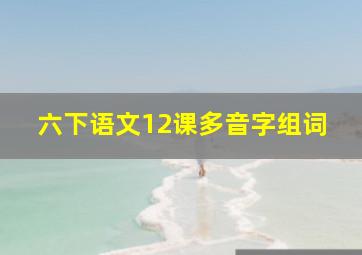 六下语文12课多音字组词