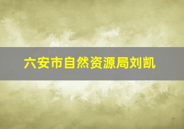 六安市自然资源局刘凯