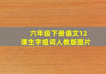 六年级下册语文12课生字组词人教版图片