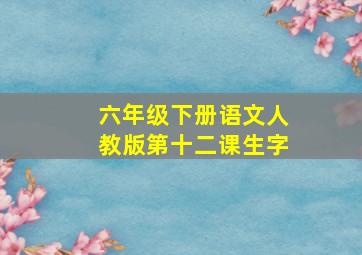 六年级下册语文人教版第十二课生字