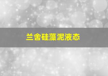 兰舍硅藻泥液态