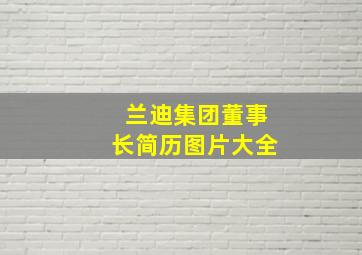 兰迪集团董事长简历图片大全