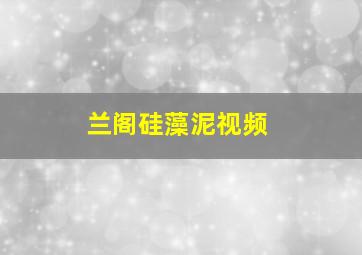 兰阁硅藻泥视频