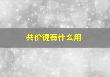 共价键有什么用